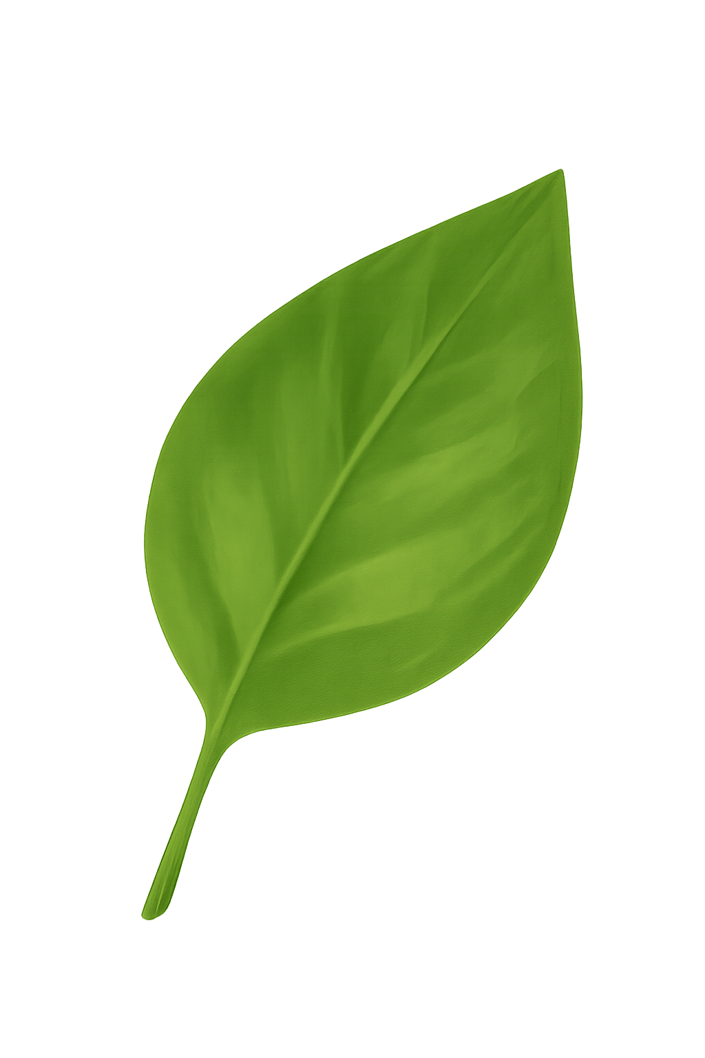 Folha decorativa